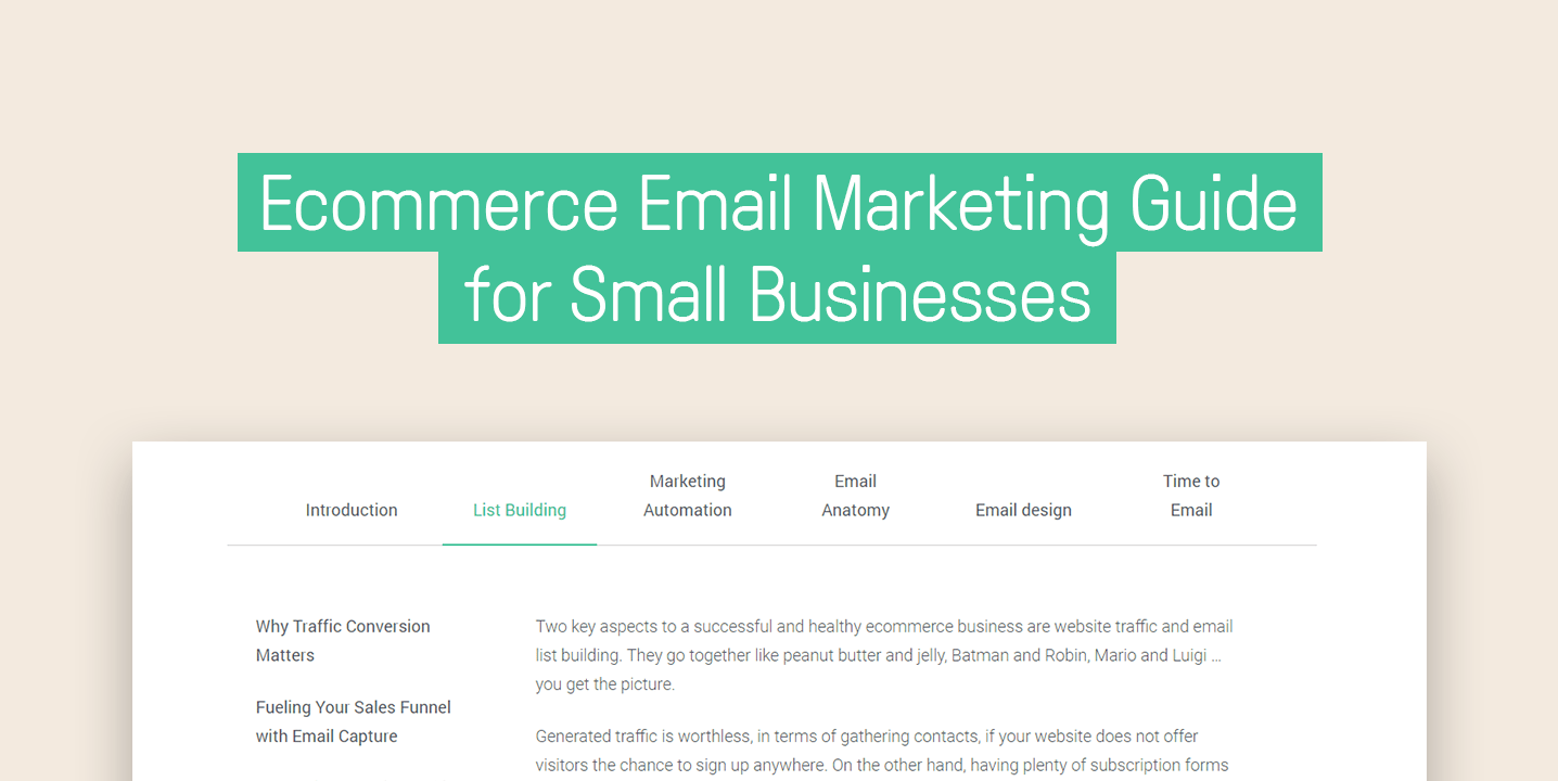 ecommerce email strategy