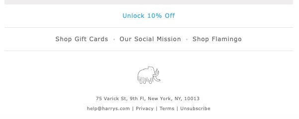 example of email newsletter design and email footer