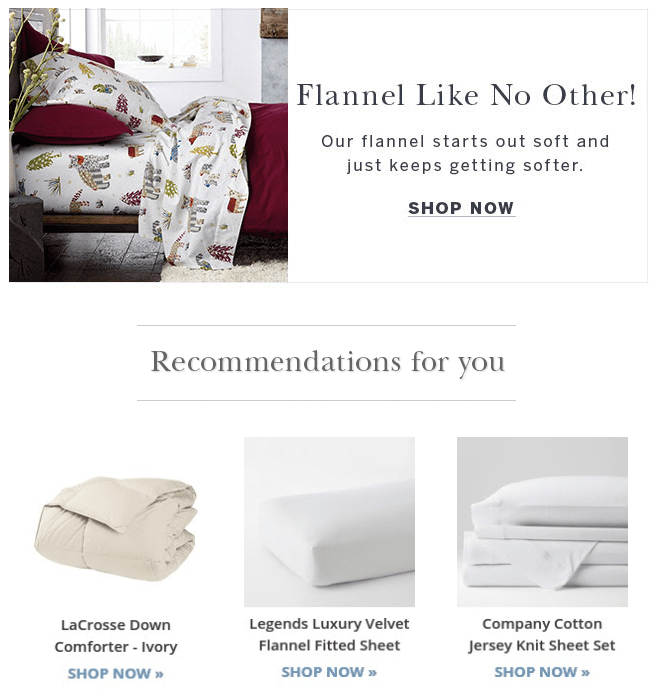 The Company Store email newsletter with recommended products