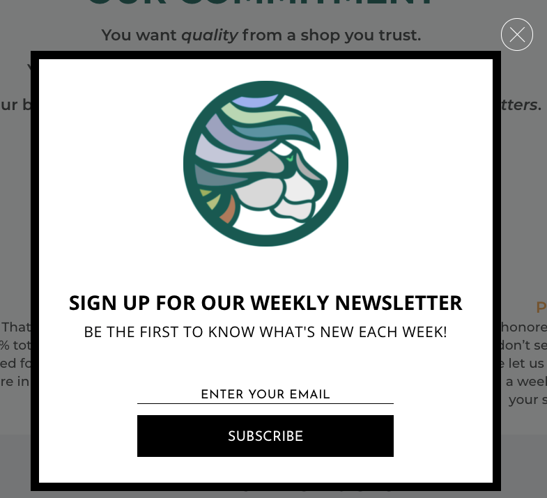 Exit-intent popup for weekly newsletter