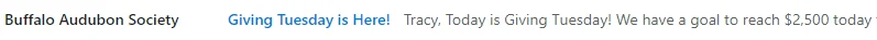 email preheader with a personalization