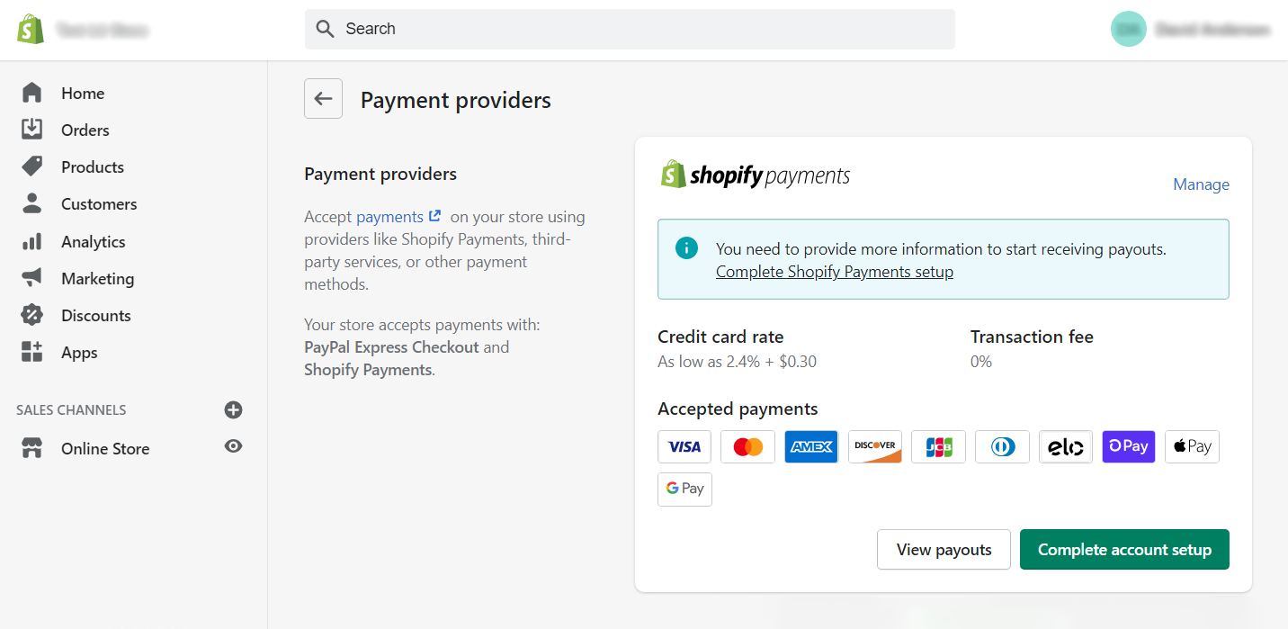 Shopify payment options and providers
