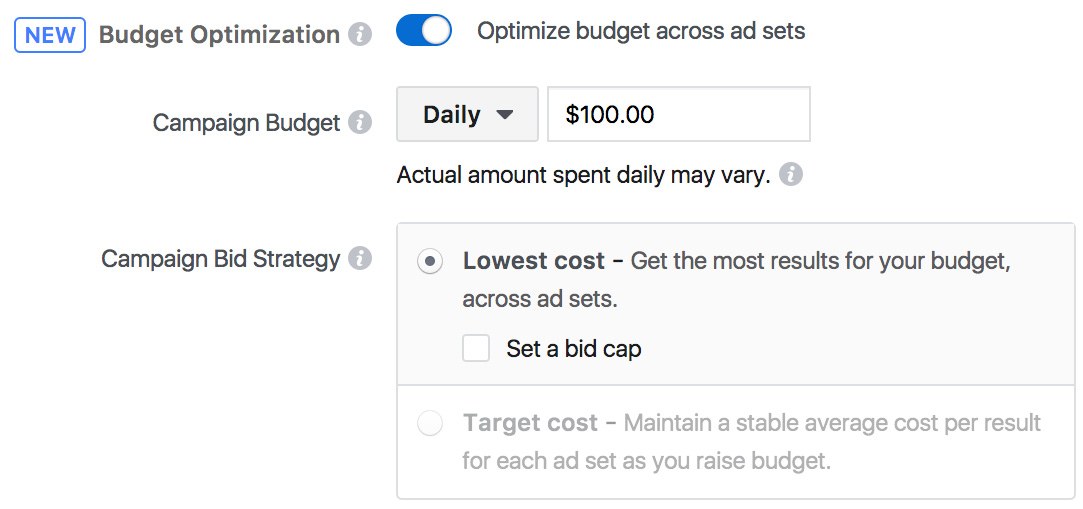 facebook campaign budget optimization