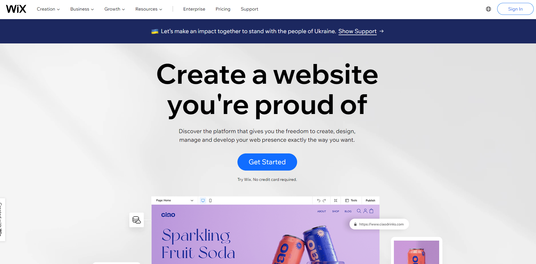 Wix website