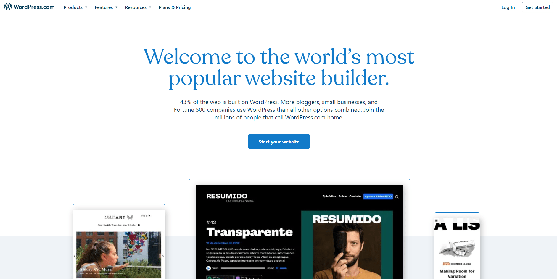Wordpress website