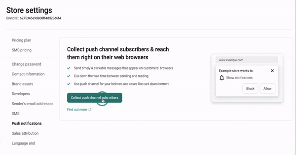 push notification setup