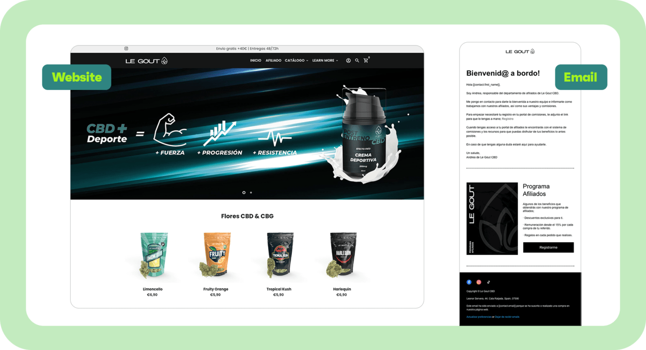 Example of email that matches website design