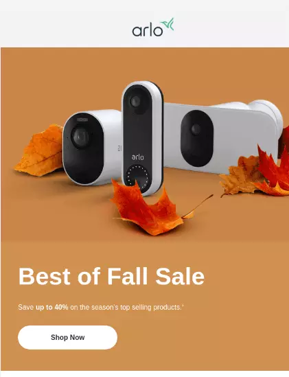 best for fall sale email