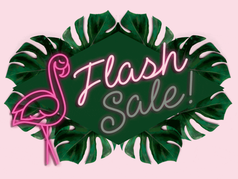 flash sale discount