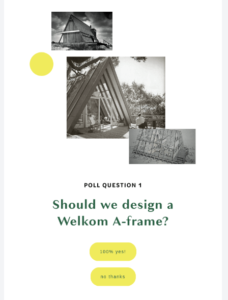 survey as an example of interactive email