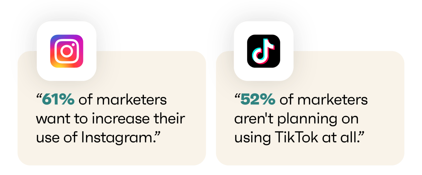 instargam and tiktok statistics