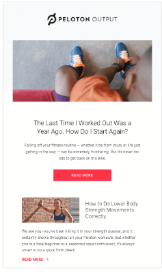educational email newsletter example