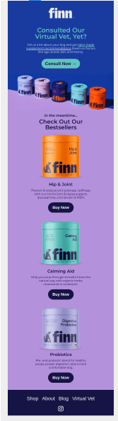 Finn email newsletter with multiple CTAs
