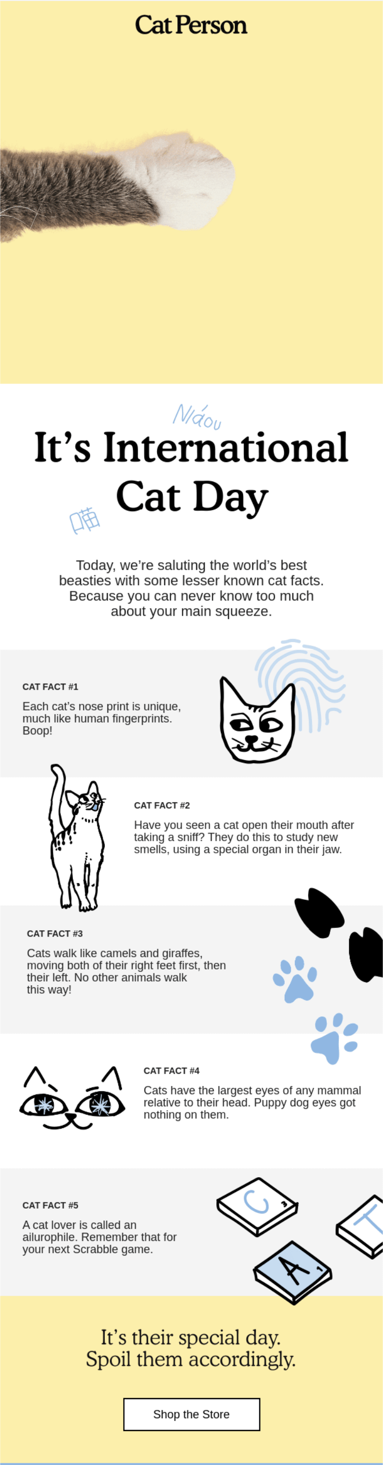 Cat person email newsletter
