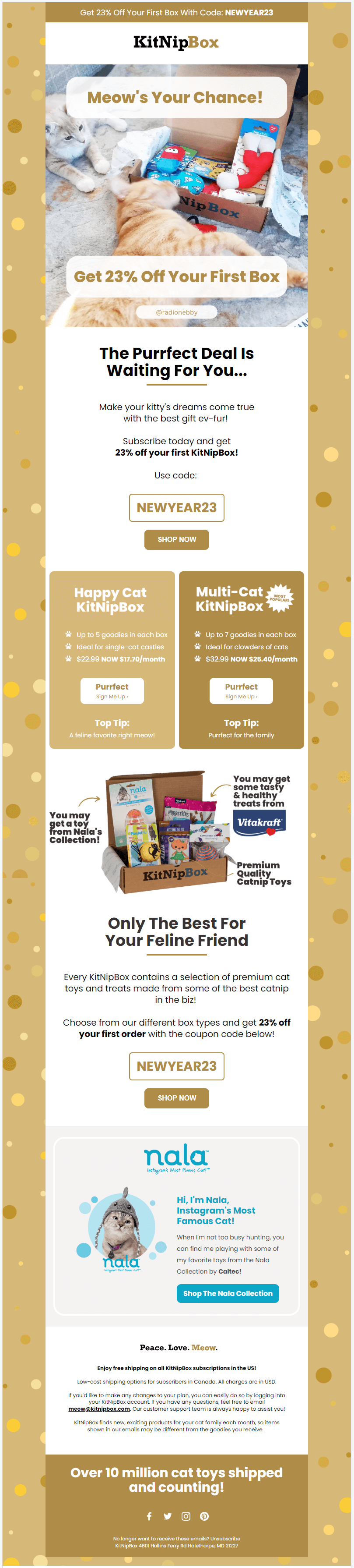 email example by pet brand KitNipBox