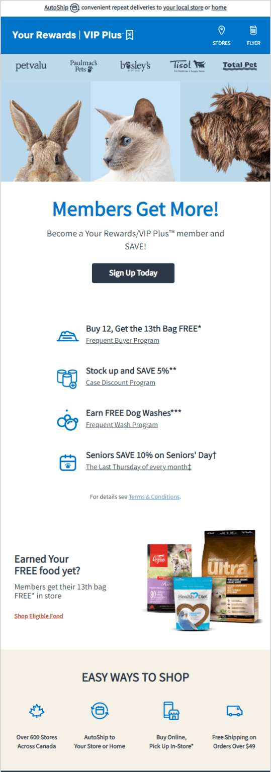 10 effective pet care email examples [inspiration + tips]