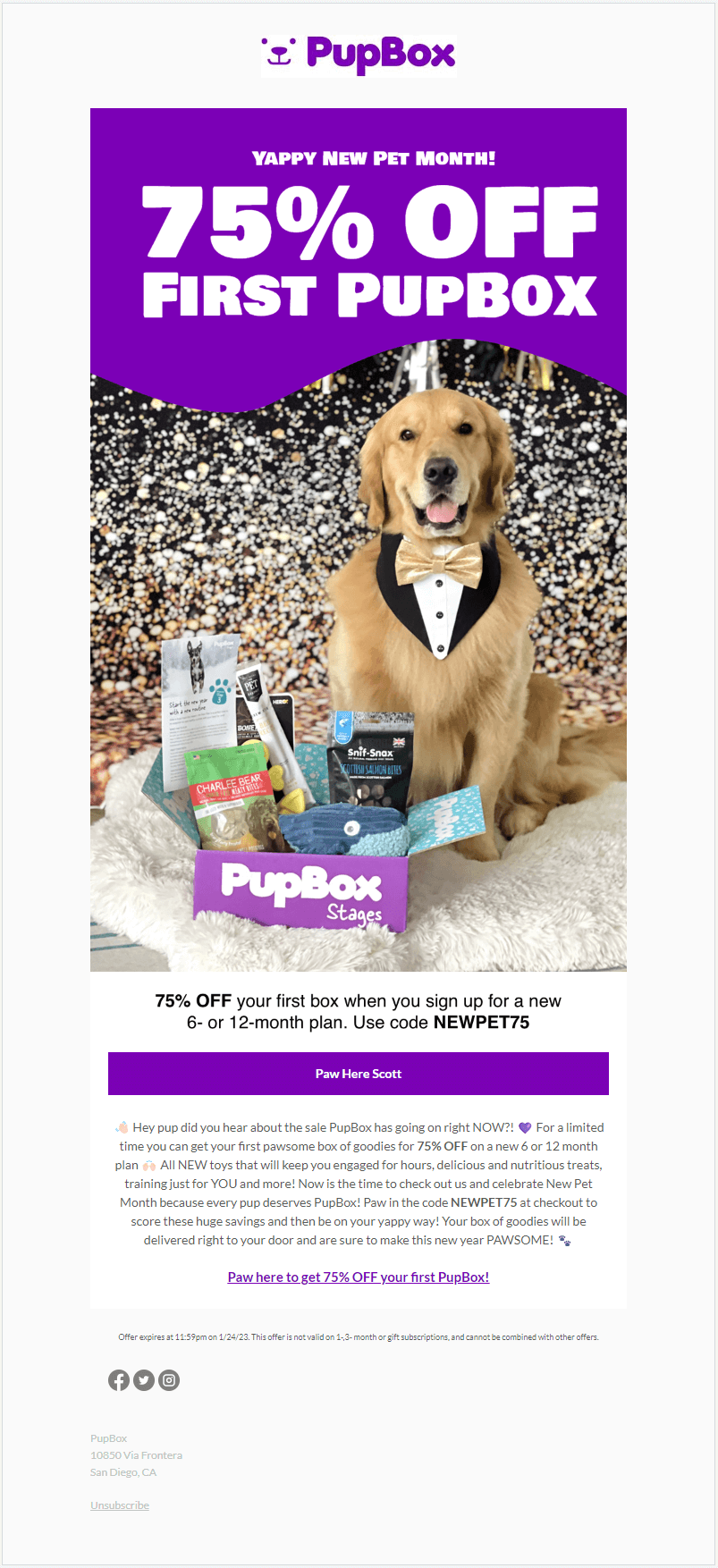 PupBox email newsletter