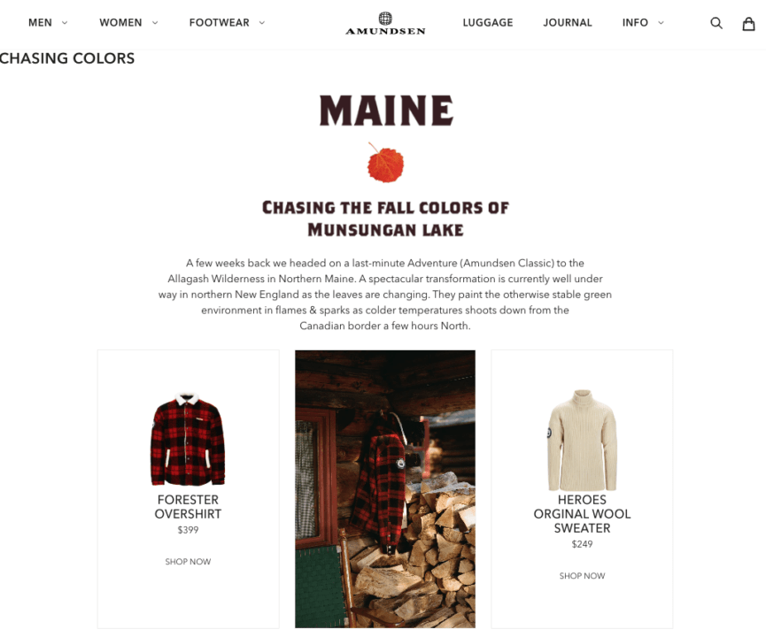 followup email with sharing brand story