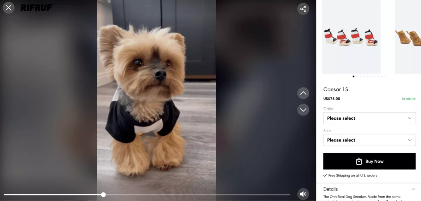 an example of a shoppable video
