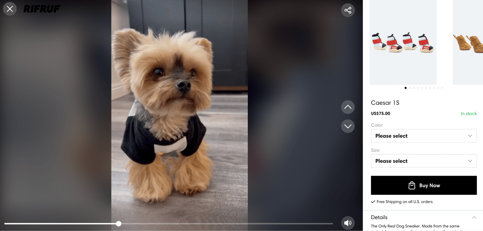 an example of a shoppable video