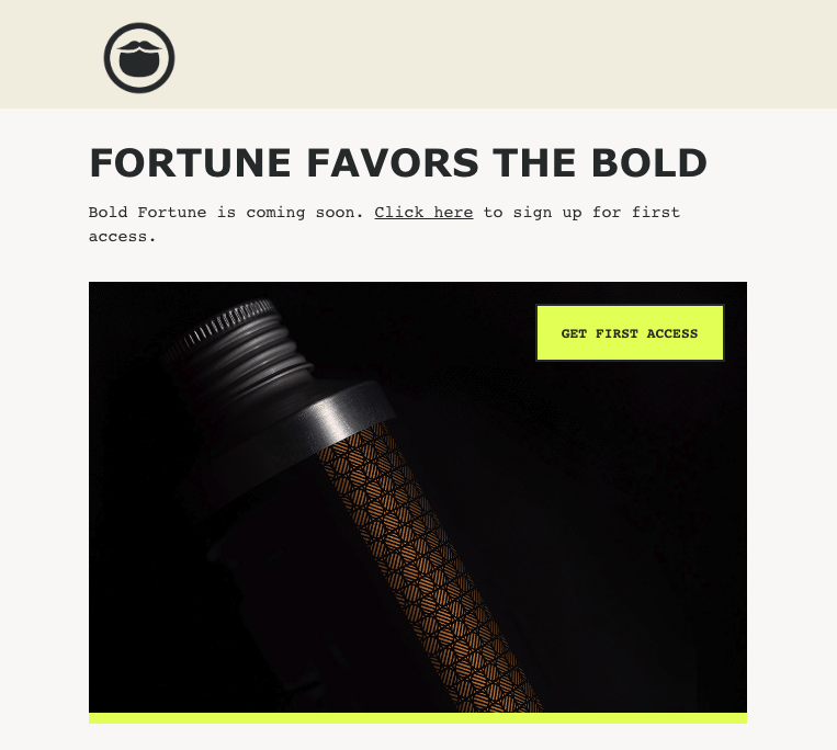 product announcement email