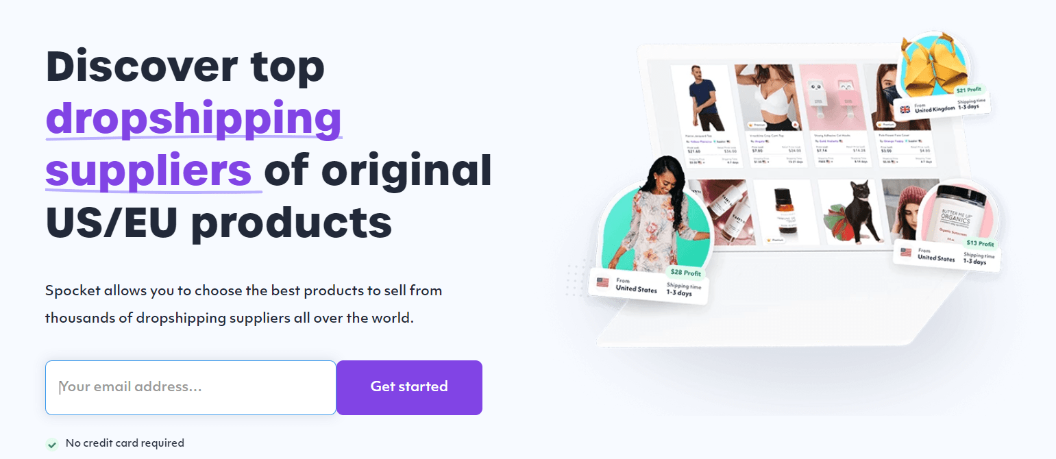 an example of a dropshipping company's website