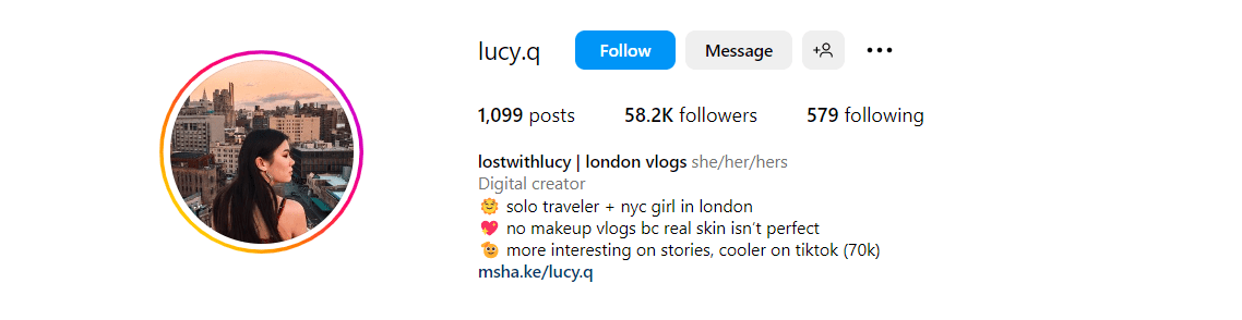 Instagram bio of an influencer's virtual assistant 