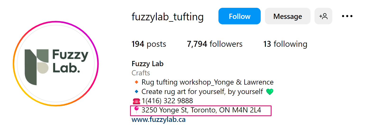 an example of brand's Instagram bio