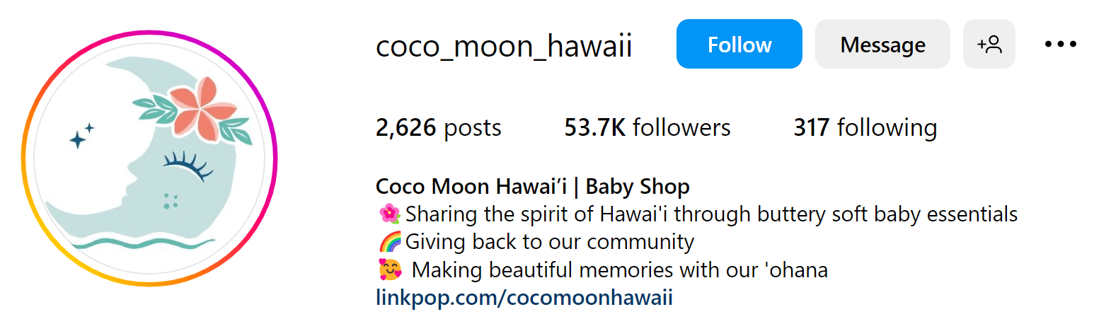 an example of baby shop's Instagram bio