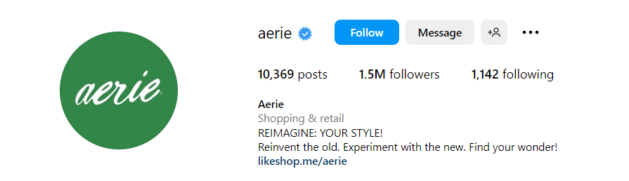 an example of brand's Instagram bio