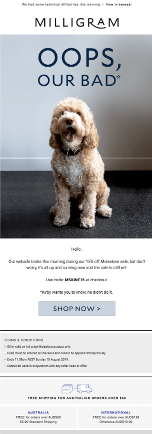 apology email