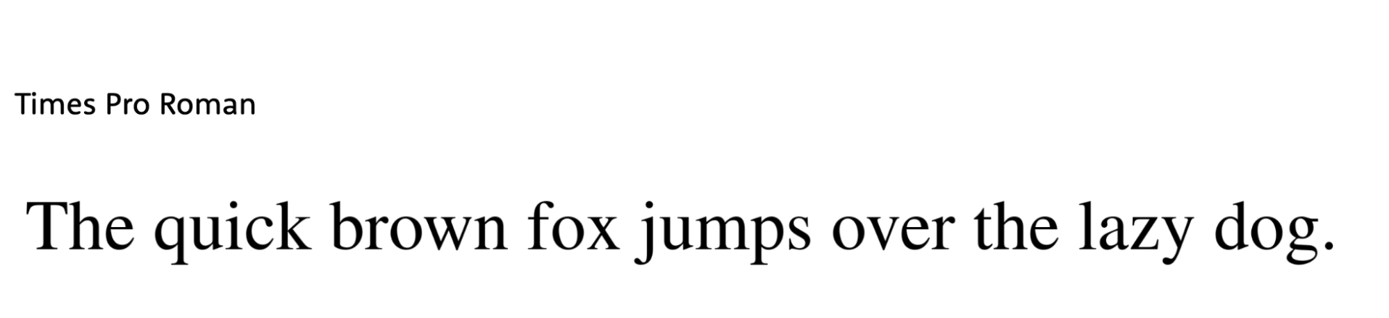 an example of a sentence in Times font