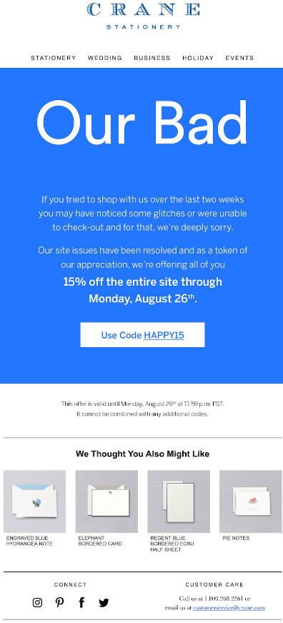 technical issue apology email