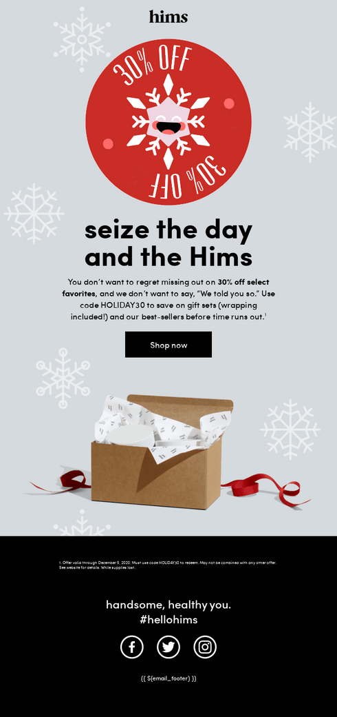 holiday sale email example