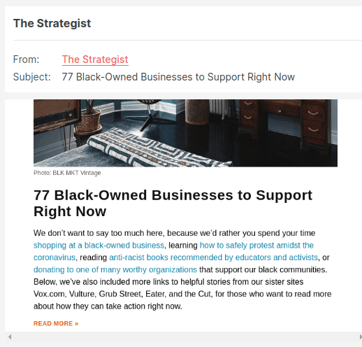 black business month newsletter example