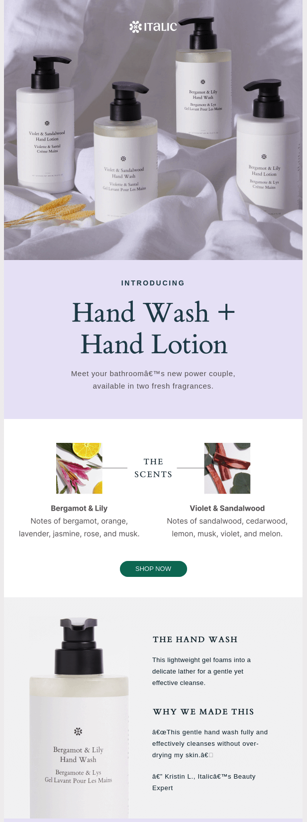 Global Handwashing Day newsletter example