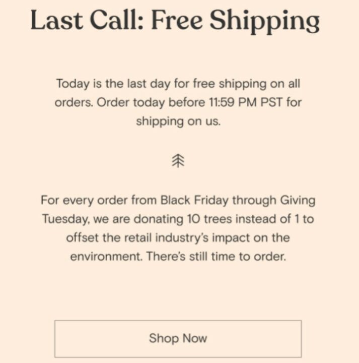 An example of a marketing campaign offering free shipping
