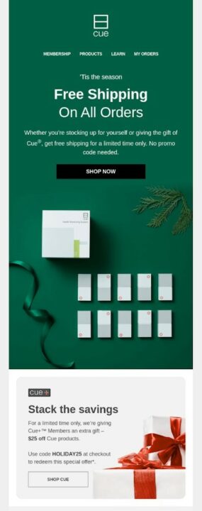 an example of a free shipping banner for holidays