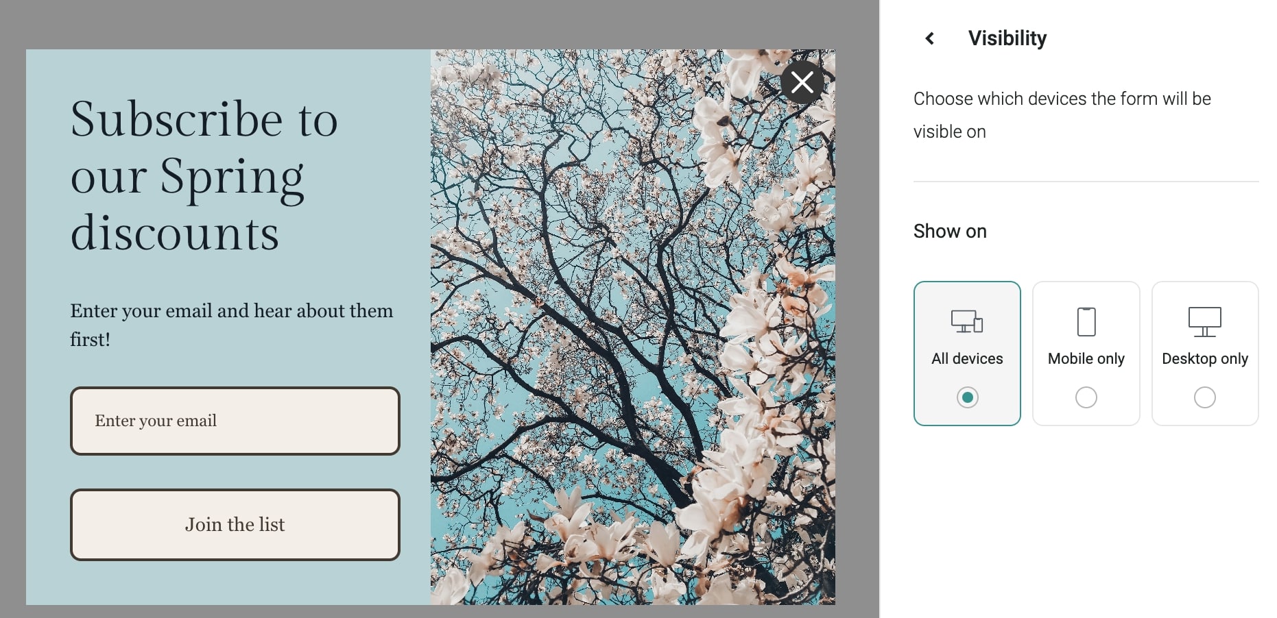 Omnisend signup form field