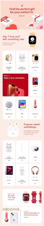 an example of a gift suggestion email for holidays marketing