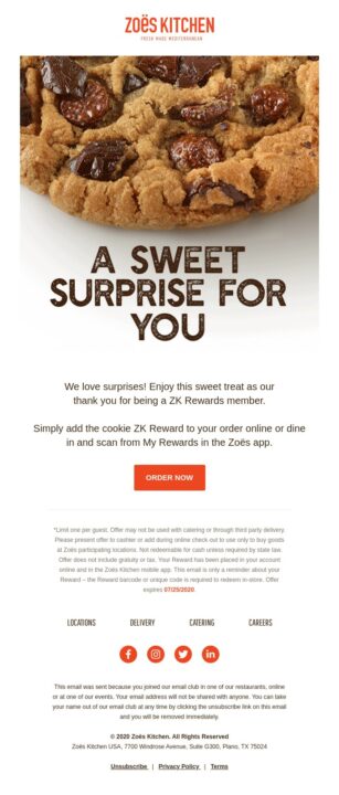an example of a holiday newsletter email to reward customer loyalty
