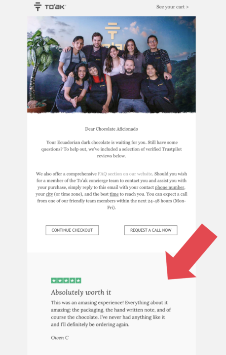 to'ak chocolate newsletter with a review from Trustpilot
