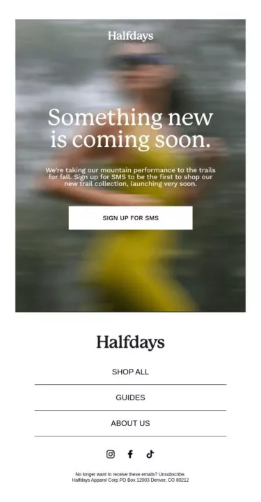 A great teaser email example by Halfdays
