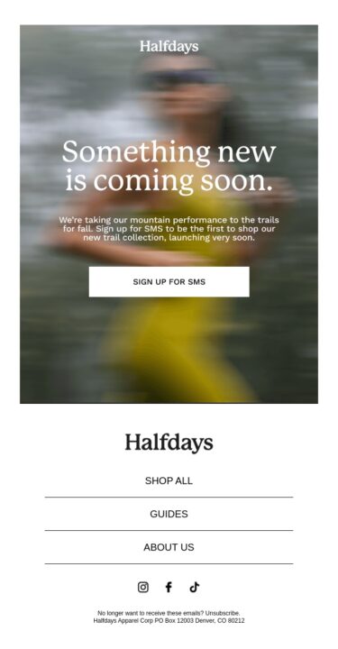 Um ótimo exemplo de e-mail teaser da Halfdays