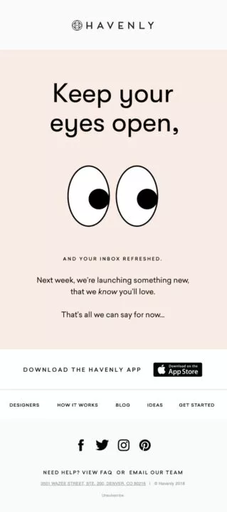 A great teaser email example by Havenly