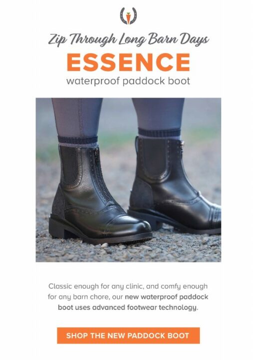 email cta example "Shop the new Paddock boot".