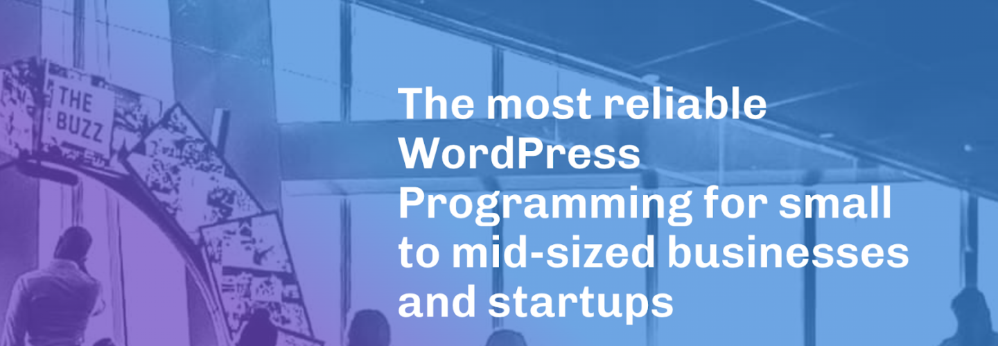 one of the best WordPress development companies - WPRiders