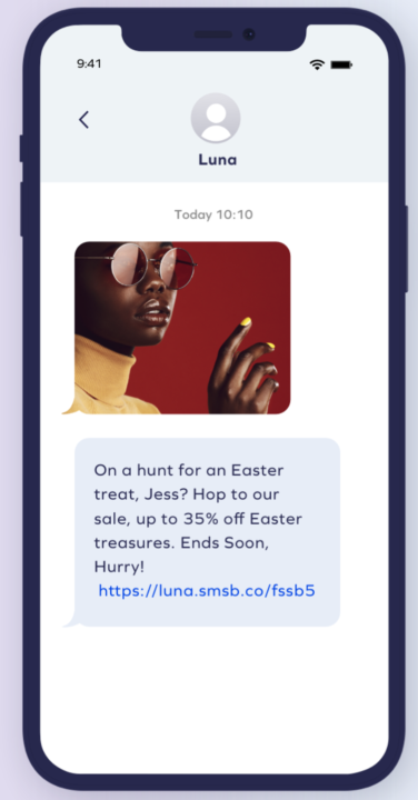 ster flash sale alert example