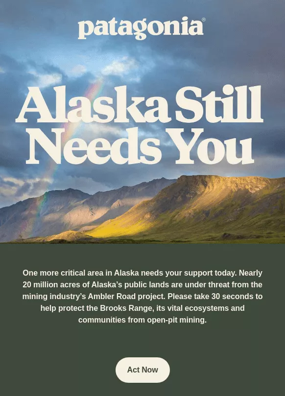 Patagonia email