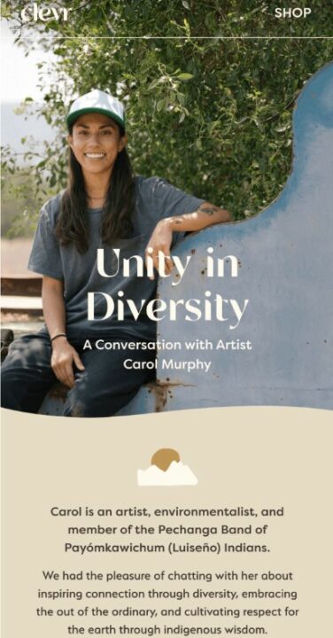 Clevr Diversity Month newsletter idea